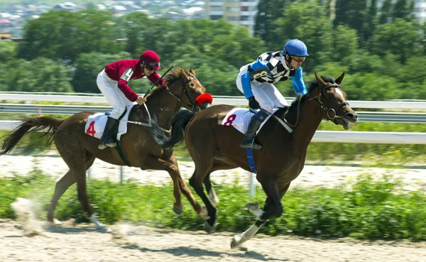 Horse race i Pyatigorsk. — Stockfoto