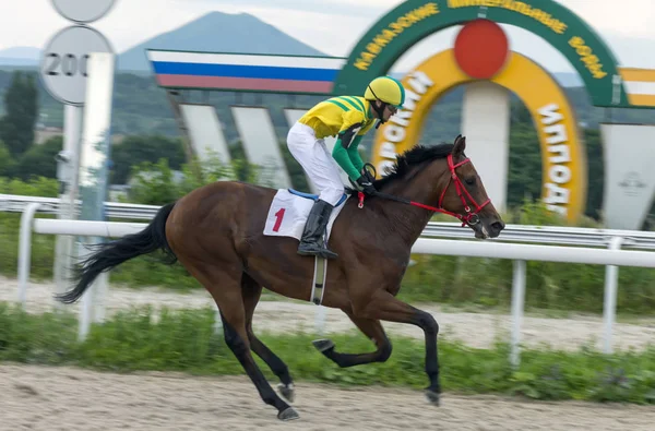 Carrera de caballos en Pyatigorsk . — Foto de Stock