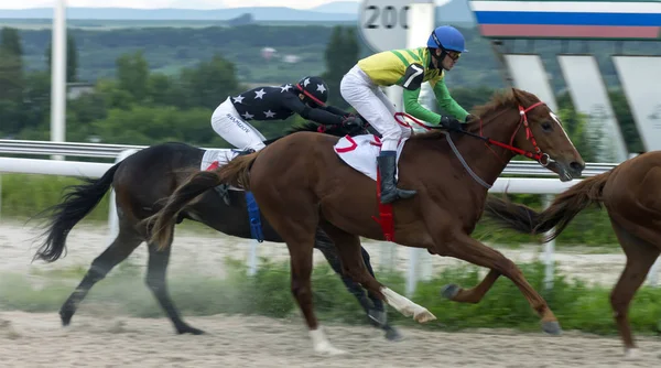 Carrera de caballos en Pyatigorsk . — Foto de Stock
