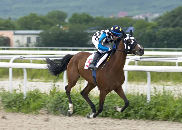 Гонки на конях у П "ятигорську.. — стокове фото