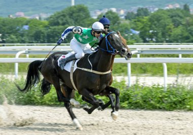 Pyatigorsk at yarışı.