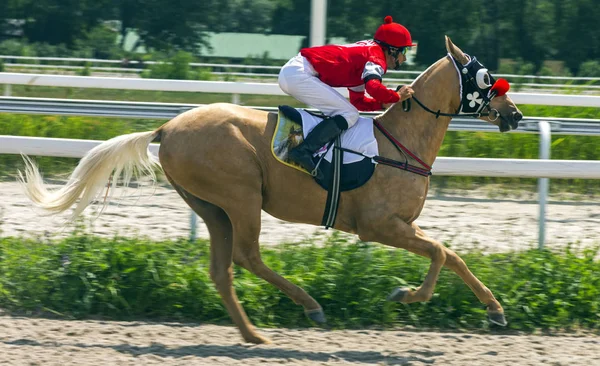 Course de chevaux à Pyatigorsk . — Photo