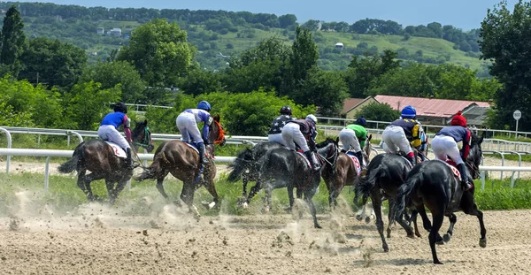 Corrida de cavalos de Pyatigorsk — Fotografia de Stock