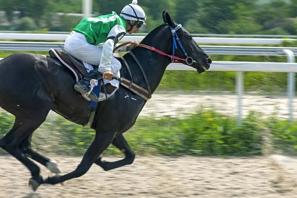 Pyatigorsk Course de chevaux . — Photo