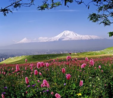 Beautiful view of Mount Ararat. clipart