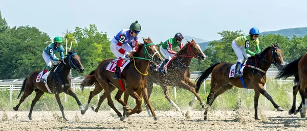 Corrida de cavalos em Pyatigorsk . — Fotografia de Stock