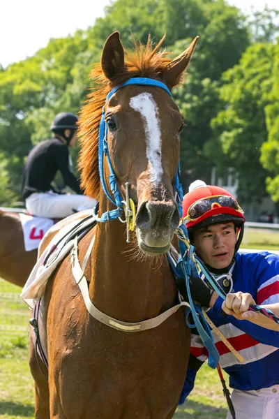 Los ganadores . — Foto de Stock