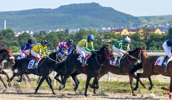 Paardenrace in Pyatigorsk. — Stockfoto