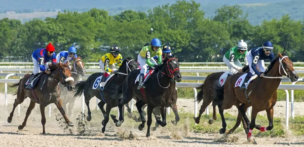 Corrida de cavalos em Pyatigorsk . — Fotografia de Stock