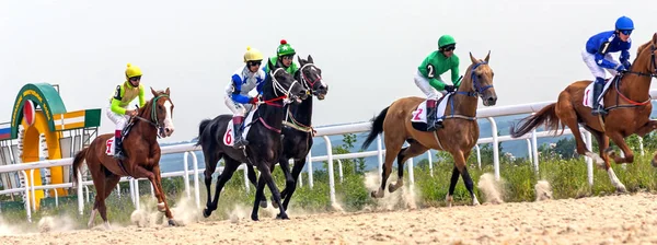 Course de chevaux à Pyatigorsk . — Photo