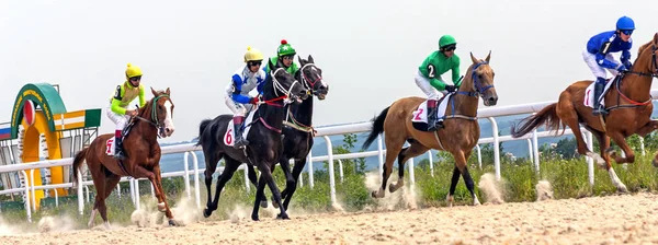 Horse race i Pyatigorsk. — Stockfoto