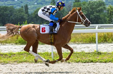 Pyatigorsk,Rusya - 14 Temmuz 2019:Asuana ödülü Pyatigorsk hipodromu için at yarışını bitirin - Rusya'nın en eski ve en büyüğü.Bu sitedeki ilk yarışlar Haziran 1885'te gerçekleşti. 