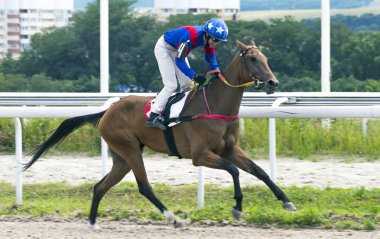 Pyatigorsk,Rusya - 14 Temmuz 2019:Derby ödülü Pyatigorsk hipodromu için at yarışını bitirin - Rusya'nın en eski ve en büyük yarışları.Bu sitedeki ilk yarışlar Haziran 1885'te gerçekleşti. 