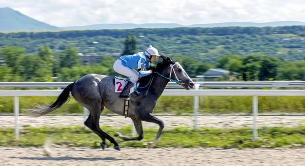 Finish horse race. — Stock Photo, Image