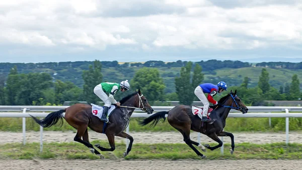 Pyatigorsk Rússia Julho 2019 Termine Corrida Cavalos Para Hipódromo Pyatigorsk — Fotografia de Stock