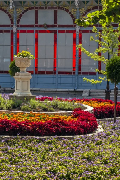 Park "Flower-garden" in Pyatigorsk. — Stock Photo, Image