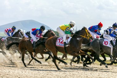 Pyatigorsk at yarışı.