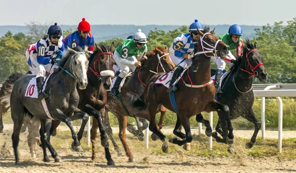 Corrida de cavalos de Pyatigorsk . — Fotografia de Stock