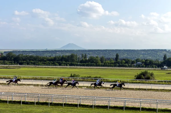 Corrida de cavalos de Pyatigorsk . — Fotografia de Stock