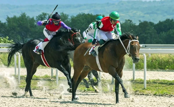 Pyatigorsk horse race. Royalty Free Stock Images