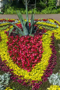 güzel flowerbed Park.