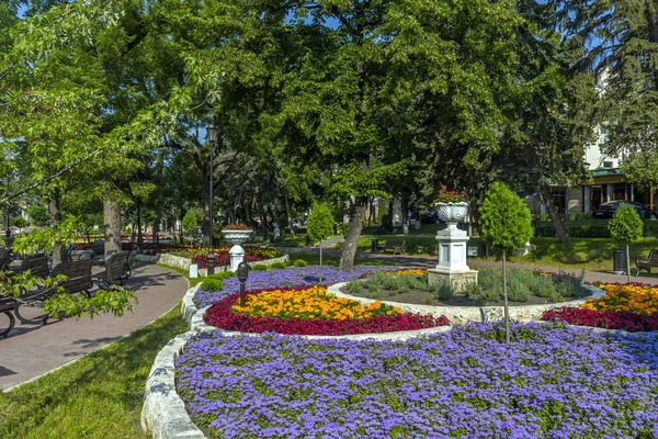 Güzel flowerbed Park. — Stok fotoğraf