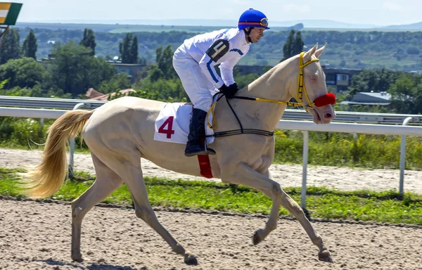 Pyatigorsk Lóverseny. — Stock Fotó