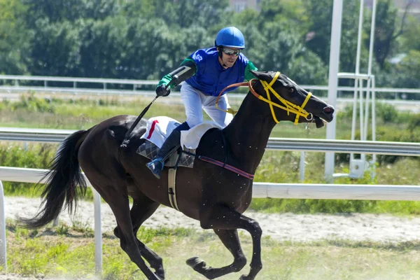 Pyatigorsk horse race. — Stock Photo, Image