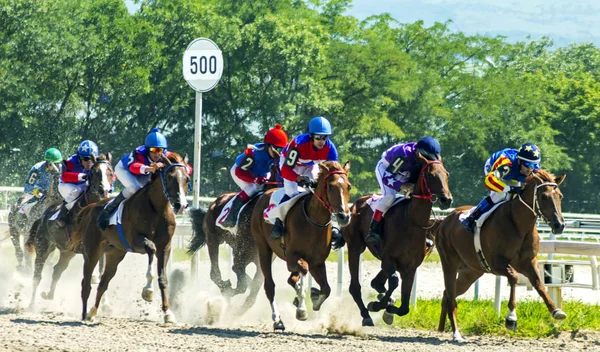 Corrida de cavalos de Pyatigorsk . — Fotografia de Stock