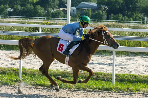 Pyatigorsk horse race. — Stock Photo, Image