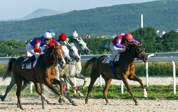 Carrera de caballos de Pyatigorsk . — Foto de Stock