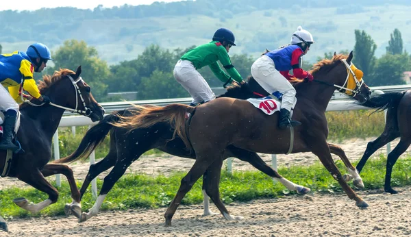 Pyatigorsk hästkapplöpning. — Stockfoto