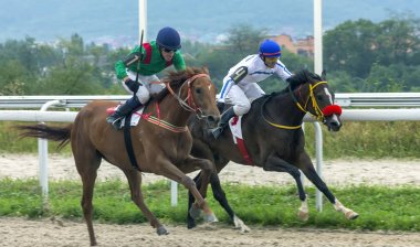 Pyatigorsk at yarışı.