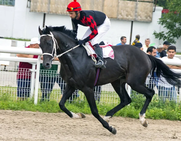 Pyatigorsk Hestevæddeløb . - Stock-foto