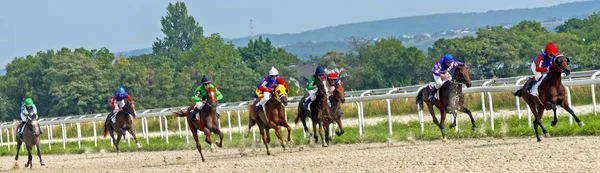Pyatigorsk Rússia Agosto 2019 Corrida Cavalos Para Prêmio Taça Criadores — Fotografia de Stock