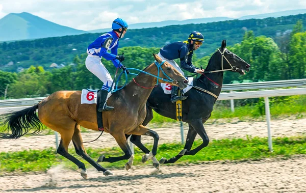 Pyatigorsk Rússia Maio 2012 Termine Corrida Cavalos Para Ghoul Hipodromo — Fotografia de Stock