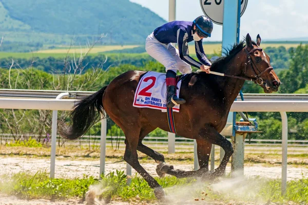 PYATIGORSK, RUSSIA - 7 Haziran 2020: Rusya 'nın en eski ve en büyük hipodromu olan Pyatigorsk Hipodromu Sınır Ödülü için at yarışını bitirmek