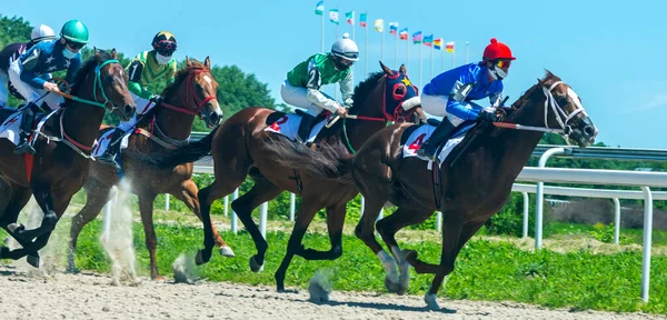Pyatigorsk Russia Juni 2020 Slutför Hästkapplöpning För Big Summer Prize — Stockfoto