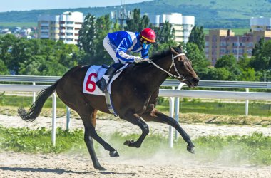 PYATIGORSK, RUSSIA - 7 Haziran 2020: Jokey Ivanskoy Alexander kahverengi aygır optimisti Açık at yarışını Pyatigorsk hipodromunda tamamlayacak.