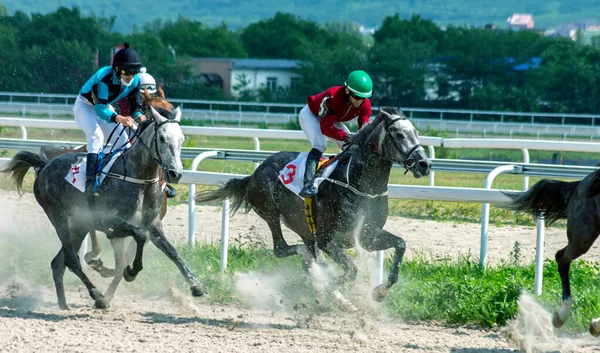 Pyatigorsk Ryssland Juni 2020 Hästkapplöpning Pesnarpriset Pyatigorsk Hippodromen Den Äldsta — Stockfoto