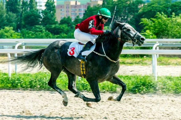 Pyatigorsk Russia June 2020 경주를 Pyatigorsk Hippodrome Finish Jockey Master — 스톡 사진