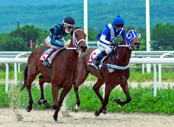 Pyatigorsk Russia Giugno 2020 Corsa Cavalli Premio Restrizione Dell Ippodromo — Foto Stock