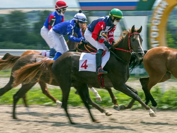 Pyatigorsk Rússia Junho 2020 Corrida Cavalo Para Prêmio Restrição Raça — Fotografia de Stock