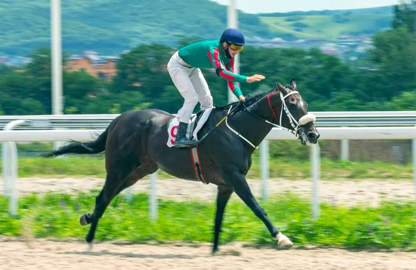 ピャチゴルスク ロシア 2020年6月21日 ピャチゴルスク ヒッポドロームのピャチゴルスク賞の馬レース — ストック写真