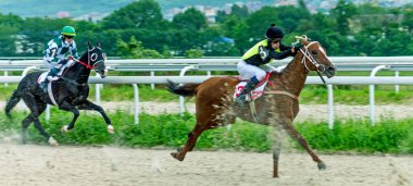 PYATIGORSK, RUSSIA - 21 Haziran 2020: Pyatigorsk hipodromu Süper Sprint ödülü için at yarışı. Baş jokey Tikhonov Yuriy kırmızı aygır Kasmir.