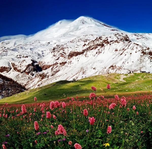 유럽에서 봉우리는 엘브루스 산으로 5642 미터이다 — 스톡 사진