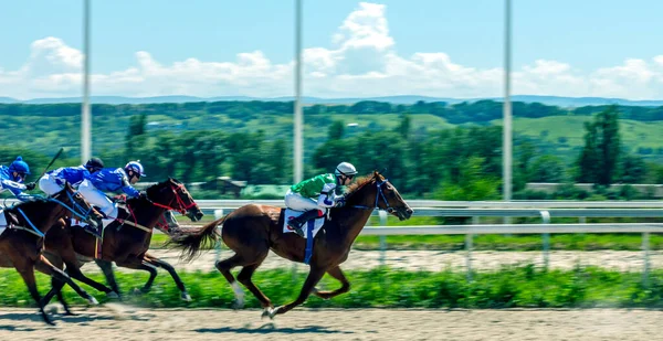 Pyatigorsk ロシア 6月28 2020 エリート賞のための競馬Pyatigorskヒッポドローム ロシアで最も古く 最大の このサイト上の最初のレースは6月に開催されました1885 — ストック写真