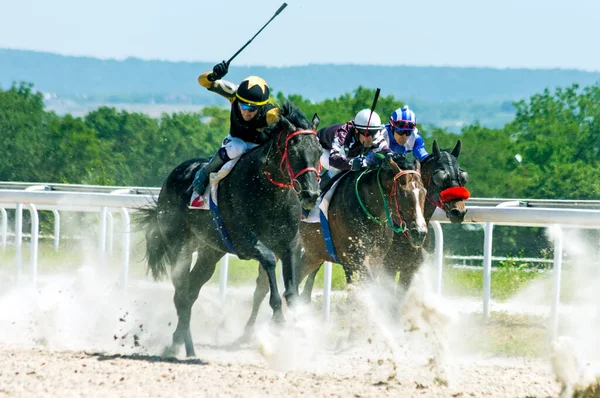 Pyatigorsk Russia Juli 2020 Hästkapplöpning För Oks Pris Pyatigorsk Hippodromen — Stockfoto