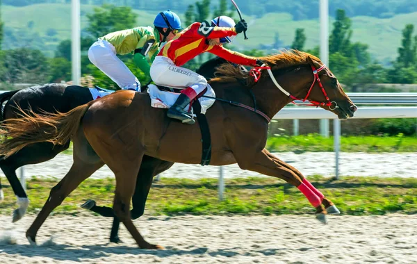 Pyatigorsk Russia July 2020 Horse Race Prize Honor Central Moscow Royalty Free Stock Images