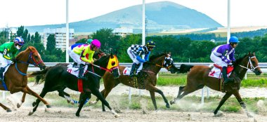 PYATIGORSK, RUSSIA - 12 Temmuz 2020: Orta Moskova Hipodromu onuruna at yarışı. Baş jokey Pshukov Islam kahverengi aygır üzerine.